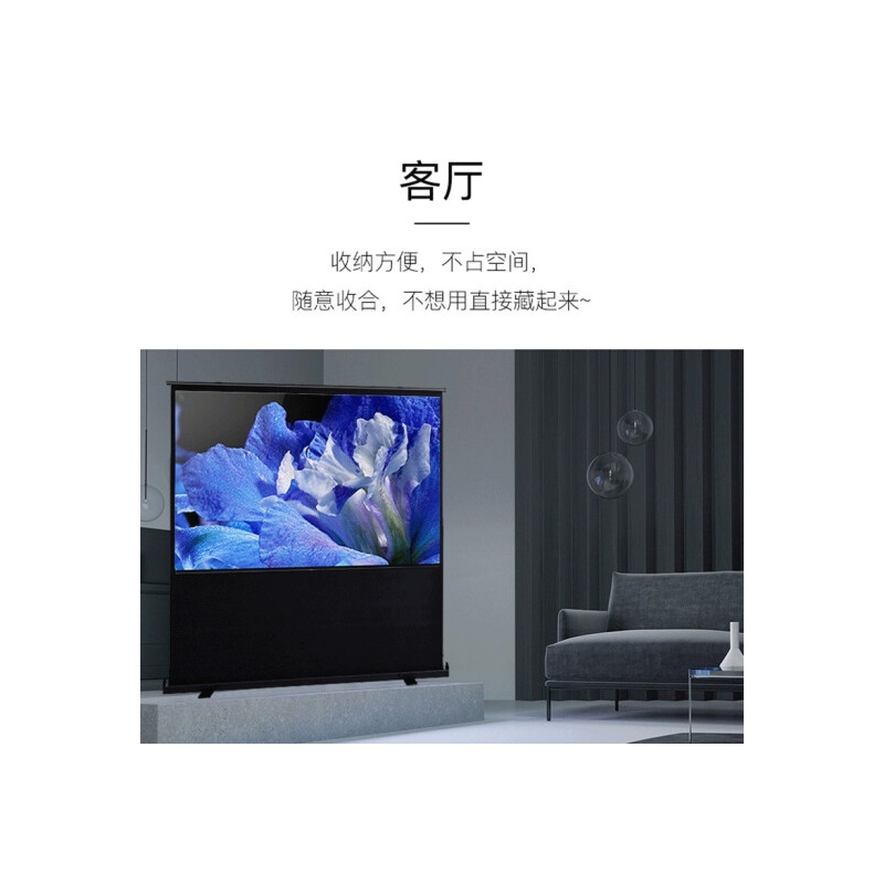 柏莱（Oley）地拉幕布投影幕布家用办公移动便携投影仪幕布 高清影院手动简易支架地拉式投影幕布 16比10 白塑 110英寸